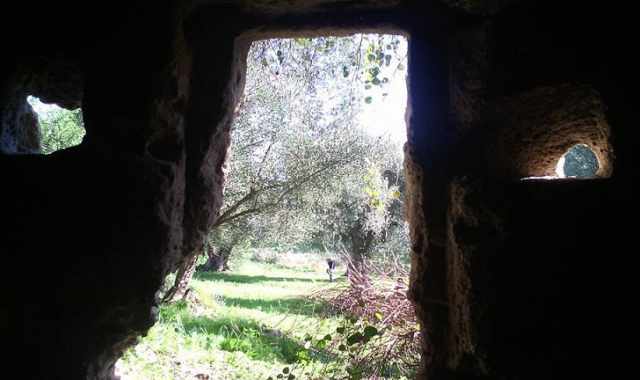 Fasano, chiese rupestri immerse tra gli ulivi secolari:  ''Lama D'Antico''